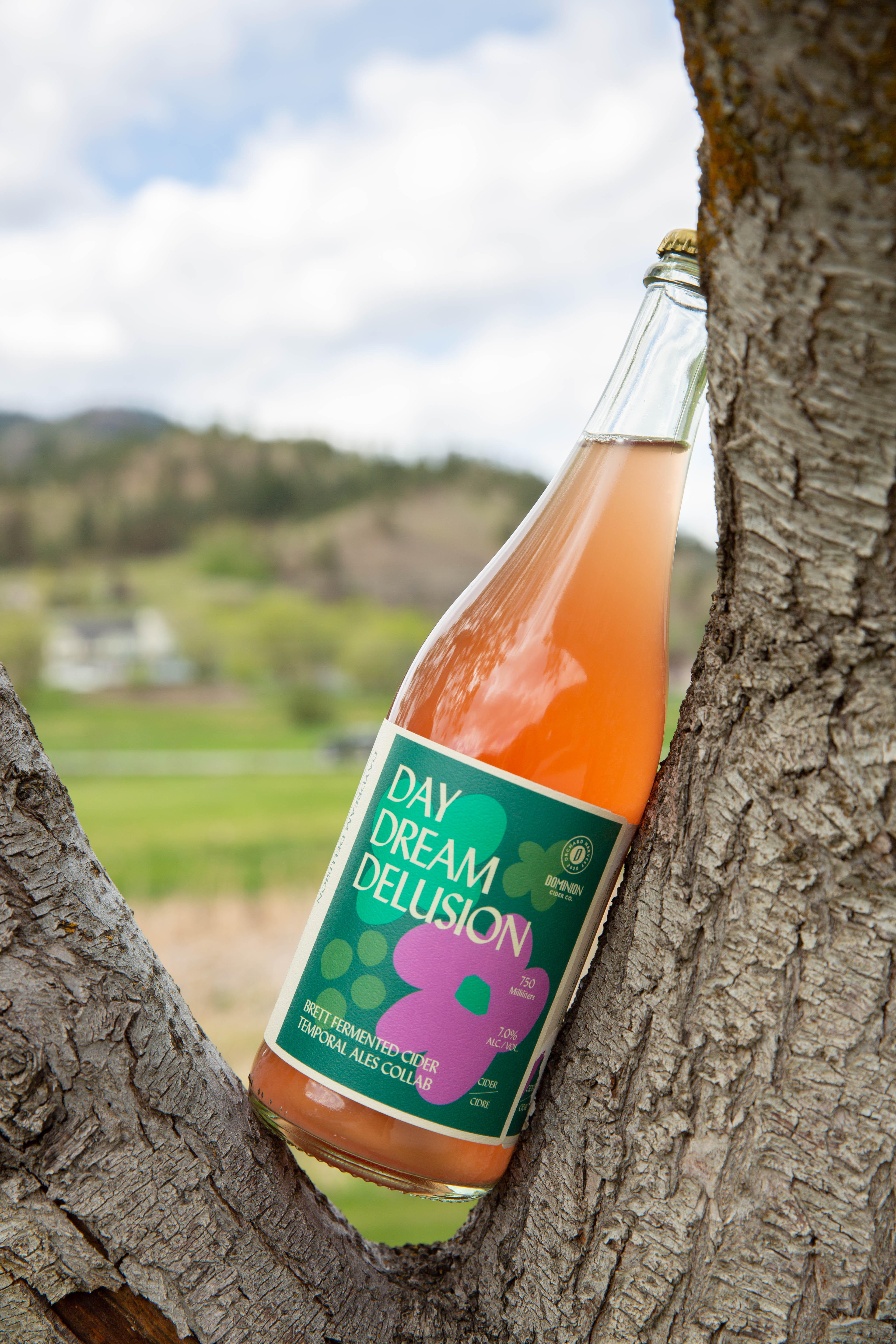 Daydream Delusion Bottle 750ml
