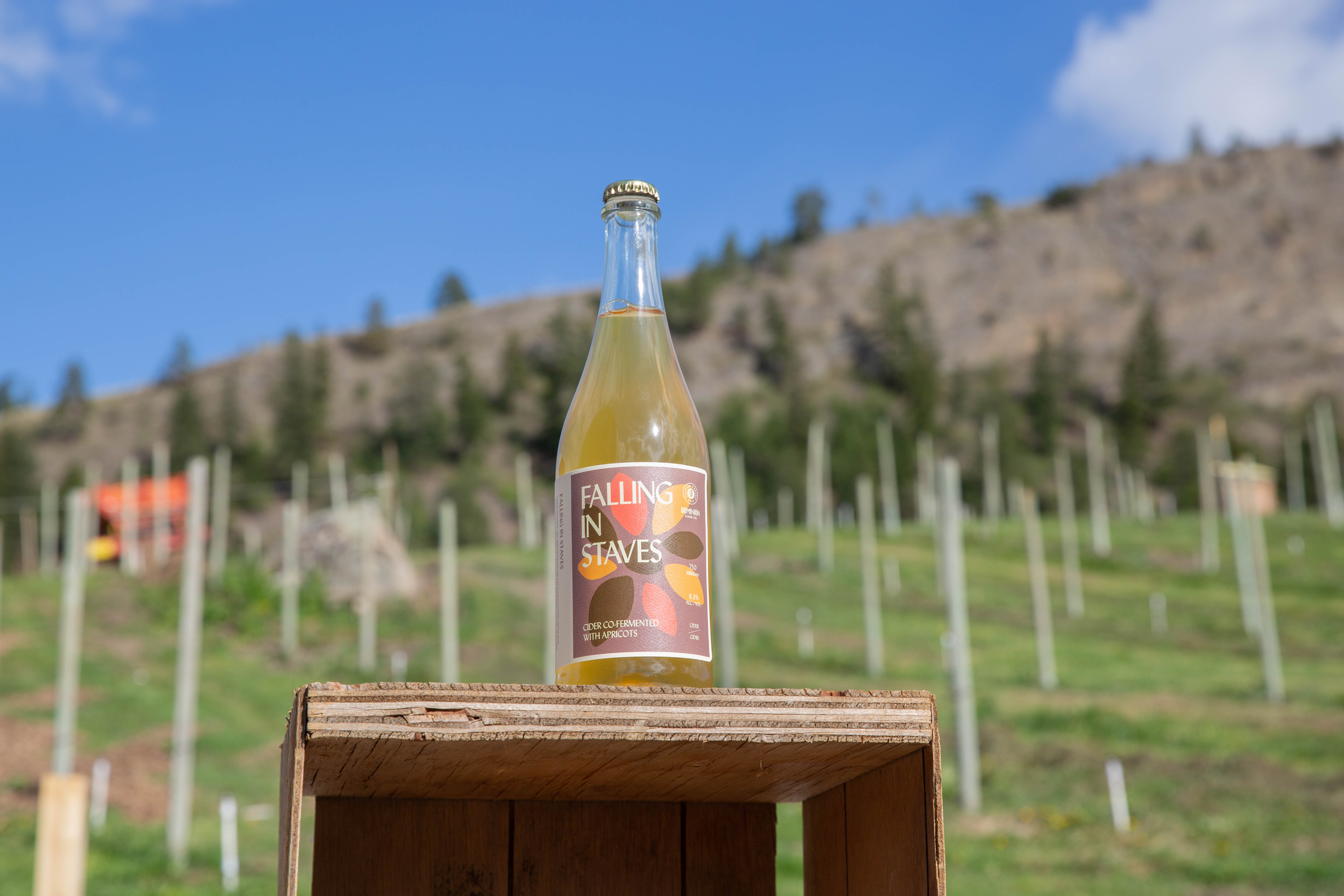 Falling in Staves Bottle 750ml