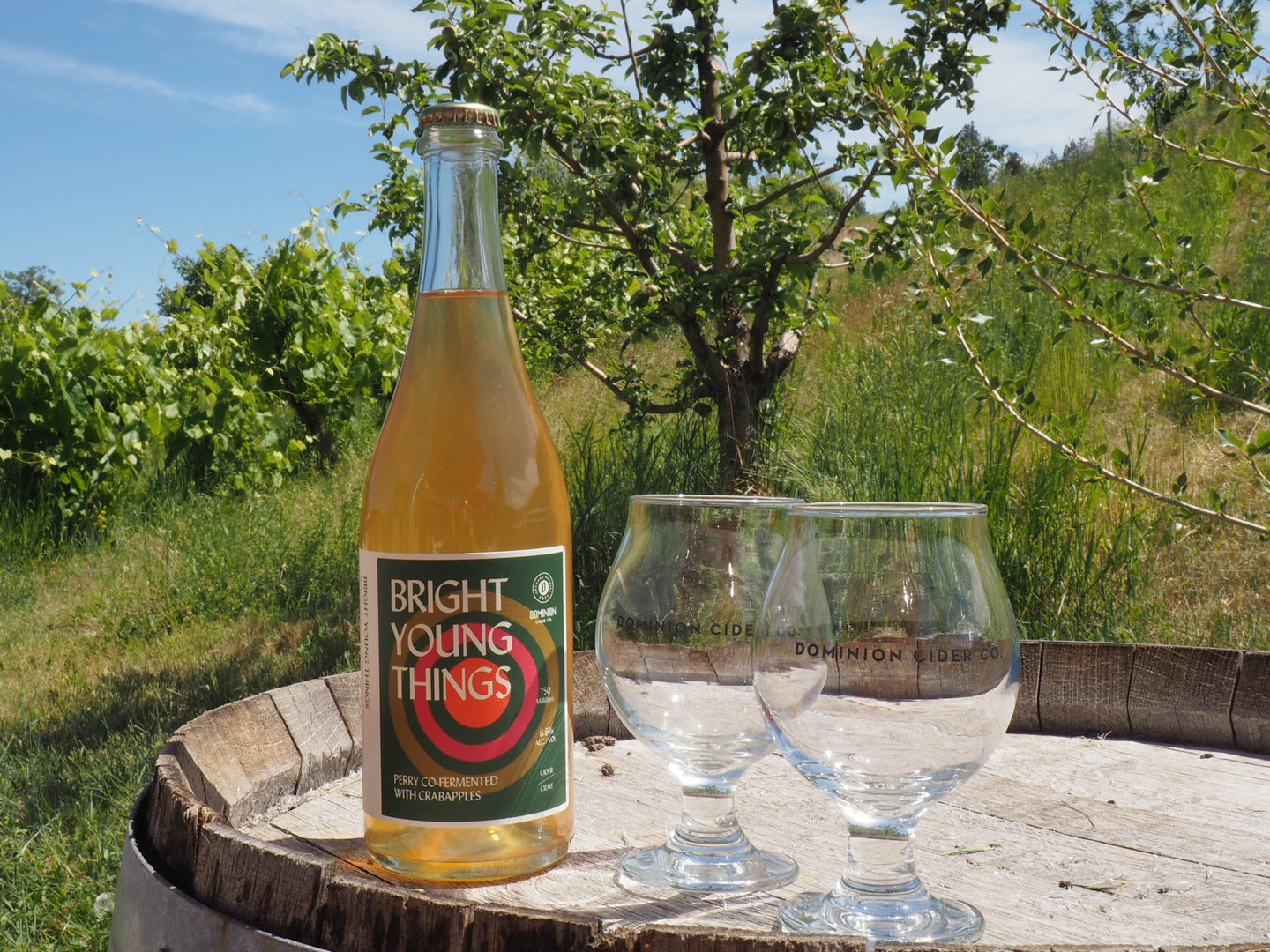 Bright Young Things Bottle 750ml