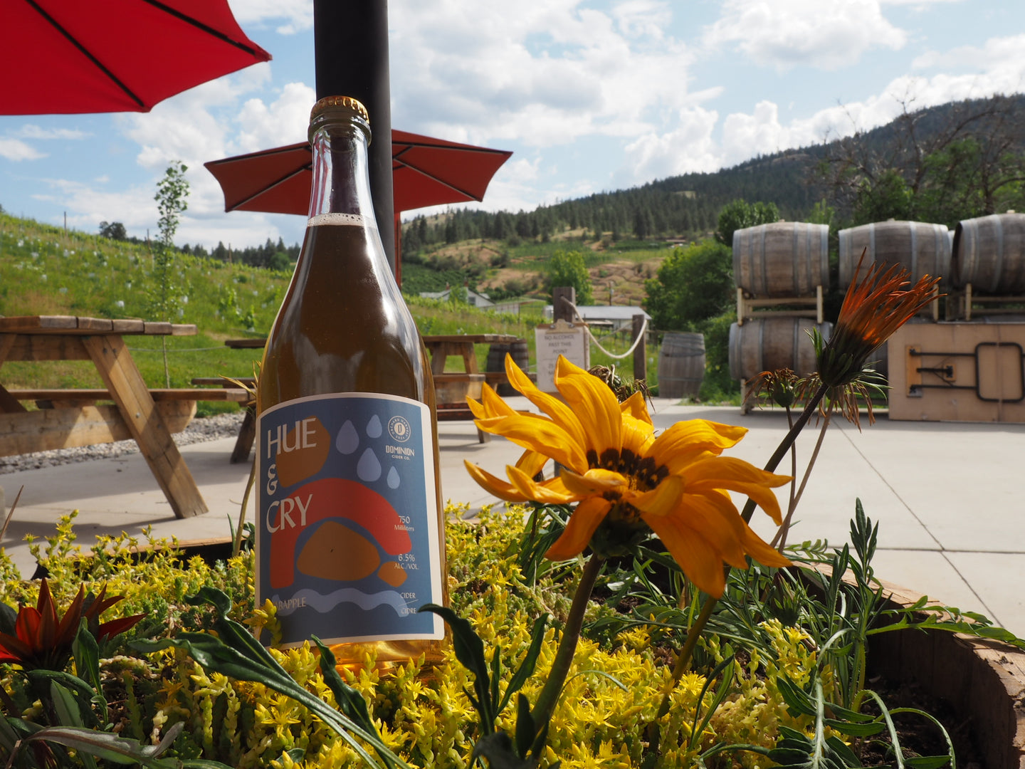 Hue & Cry Bottle 750ml