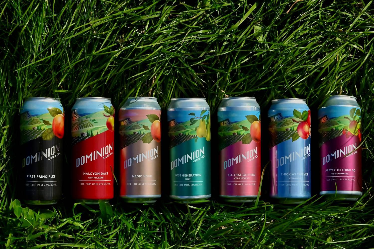 Dominion Cider Collection - 12 Pack