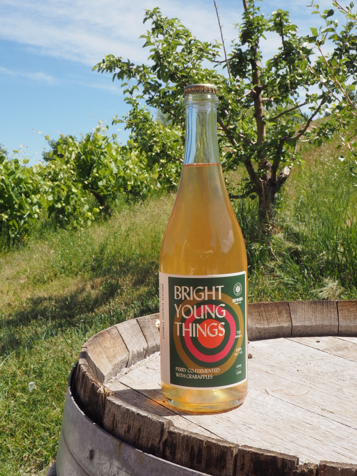 Bright Young Things Bottle 750ml
