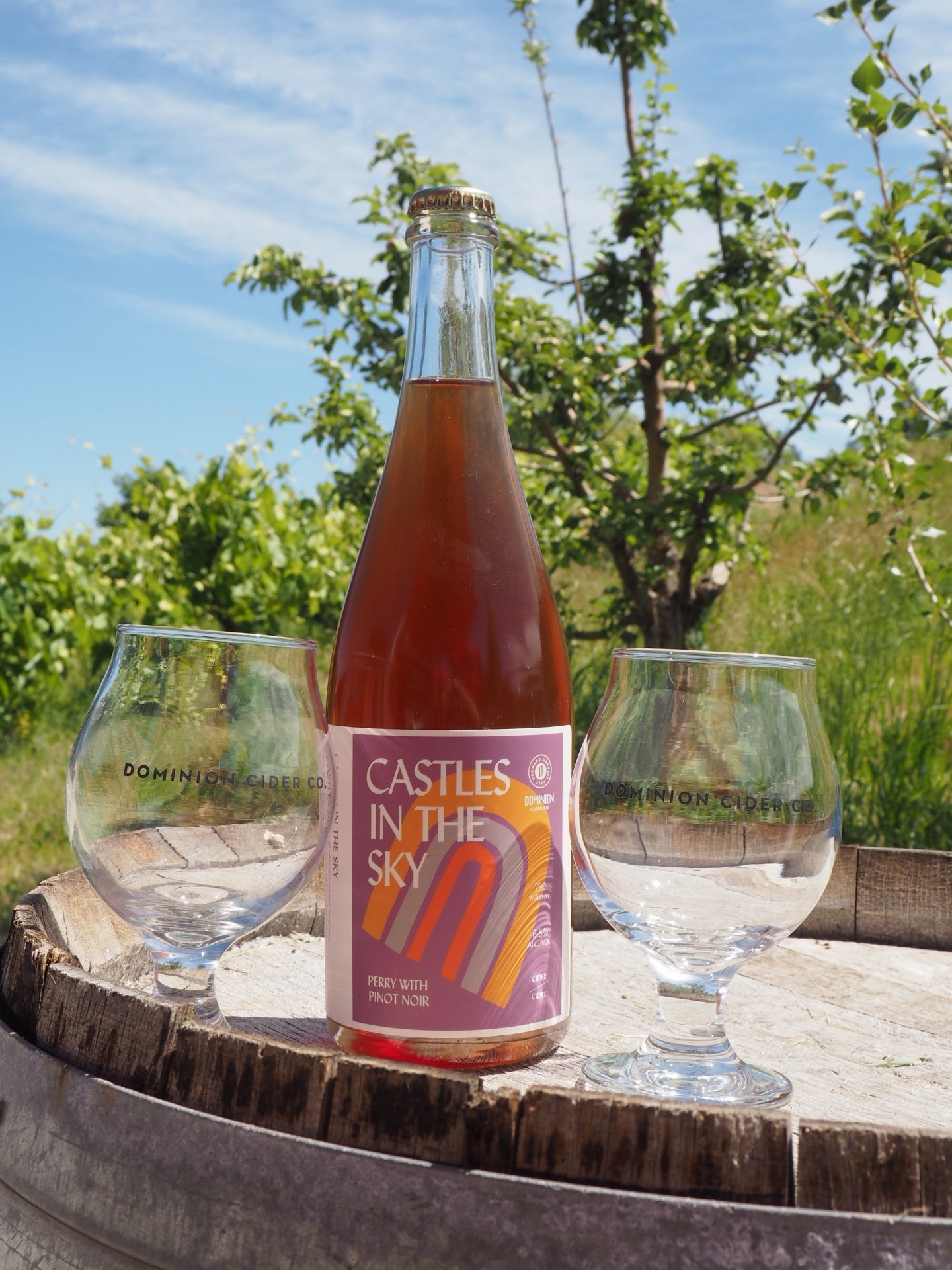 Castles in the Sky Bottle 750 ml