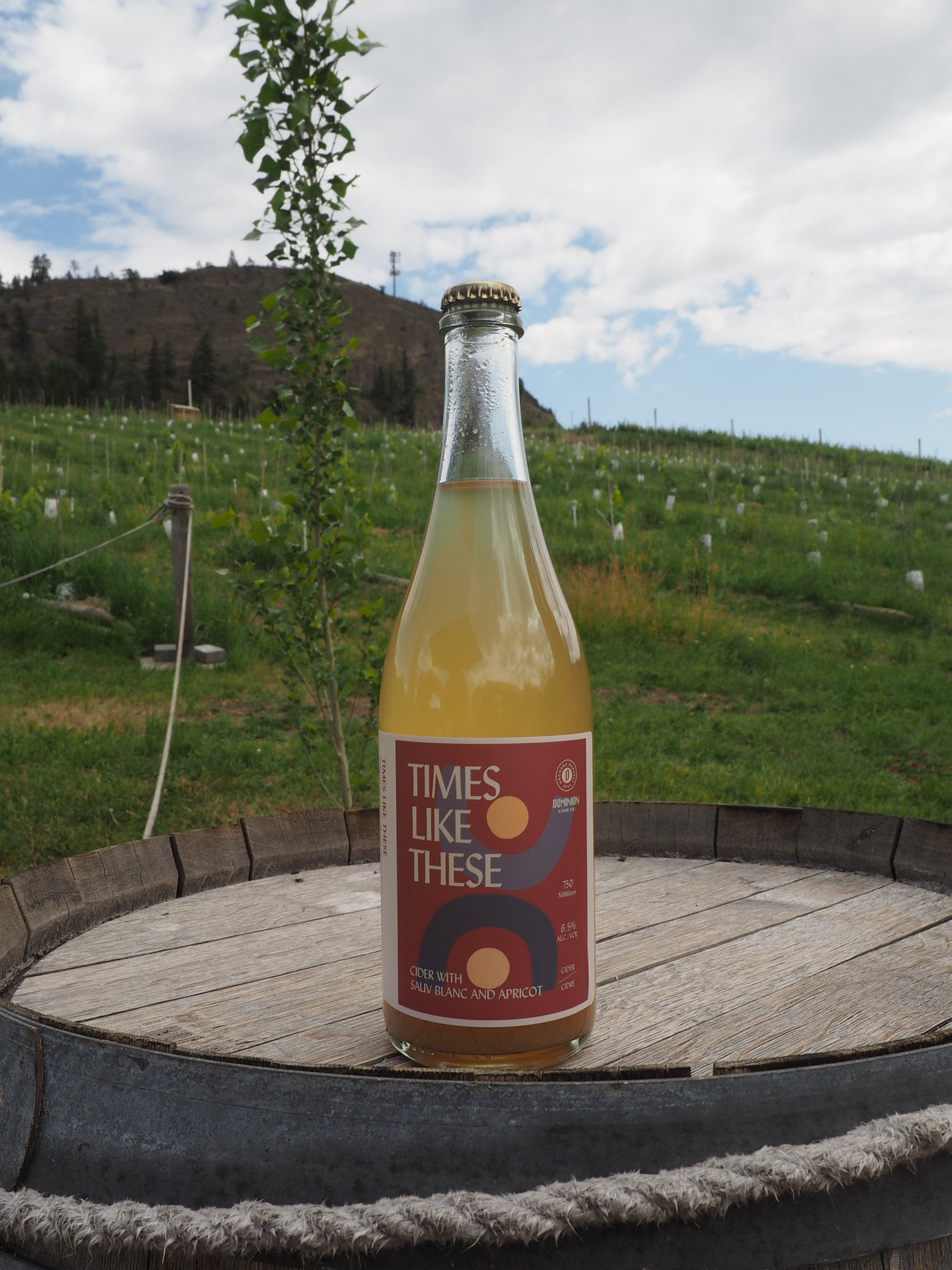 Times Like These Bottle 750ml