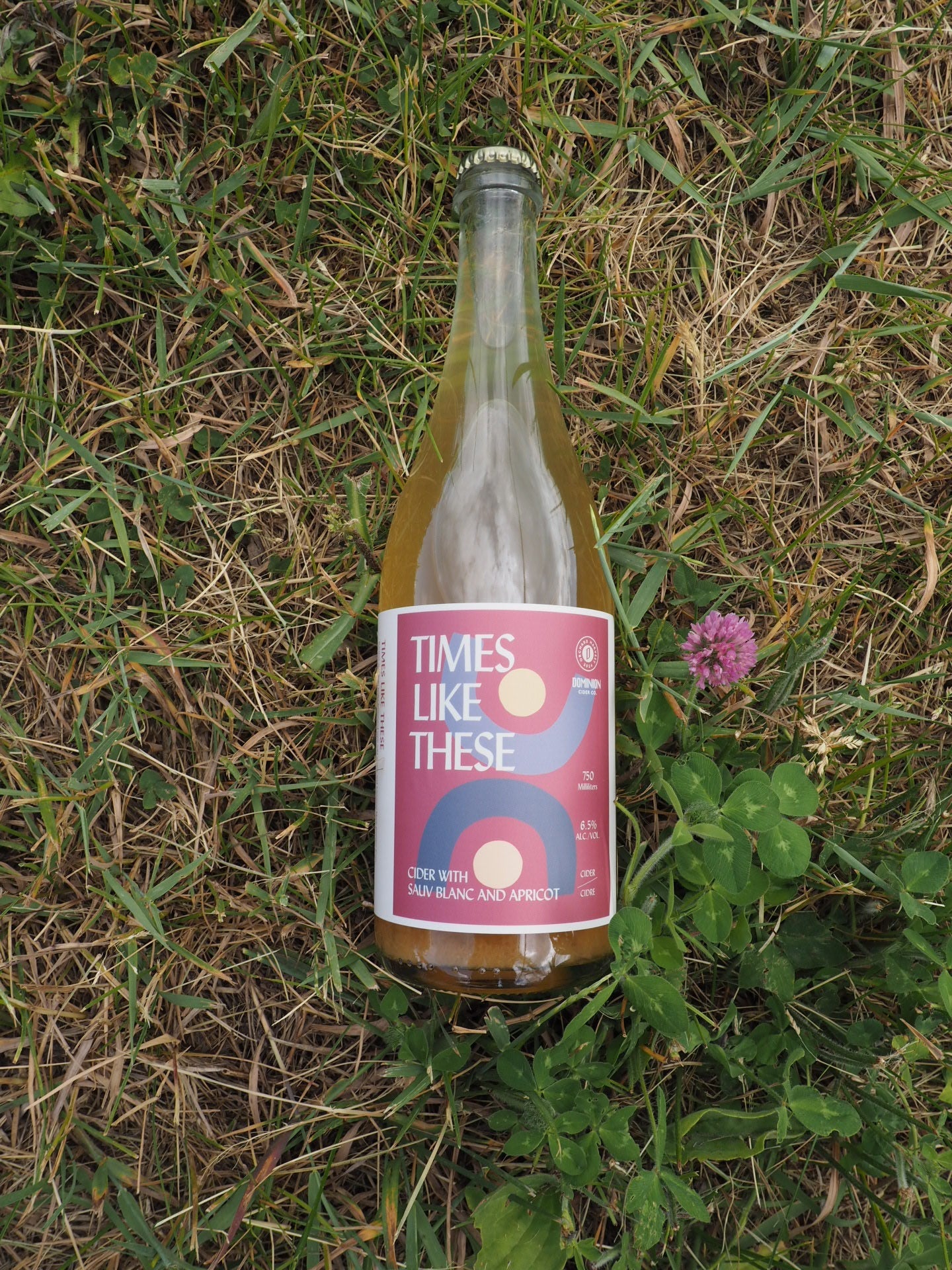 Times Like These Bottle 750ml