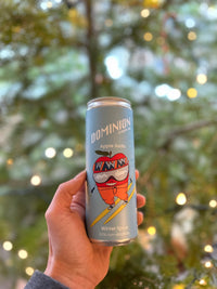 Apple Soda - Winter Spice
