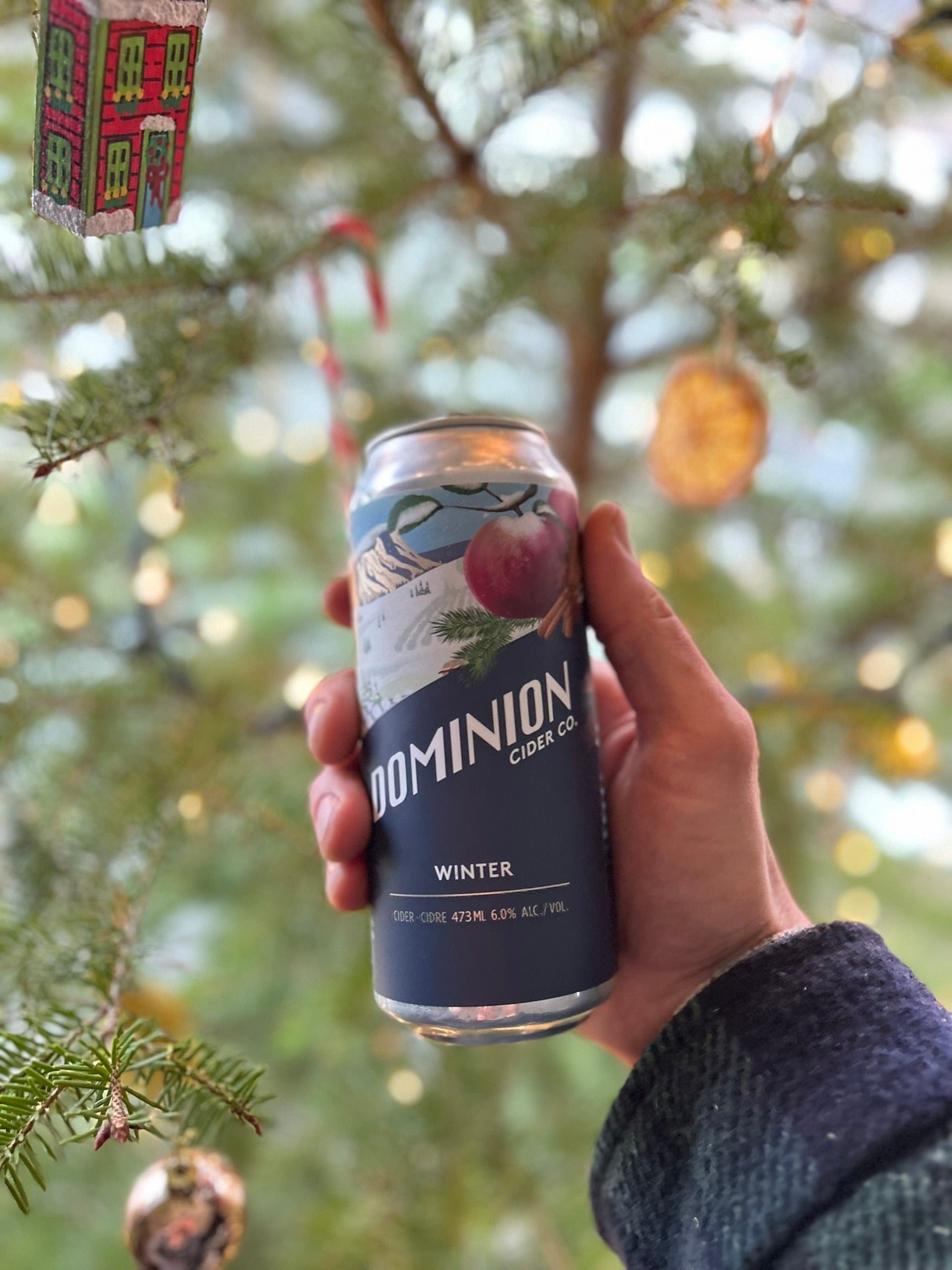 Can - Winter Cider - 473ml